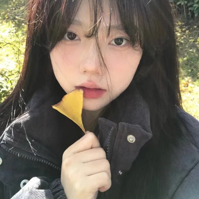山茶花飘零