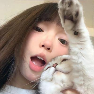 敌对分子